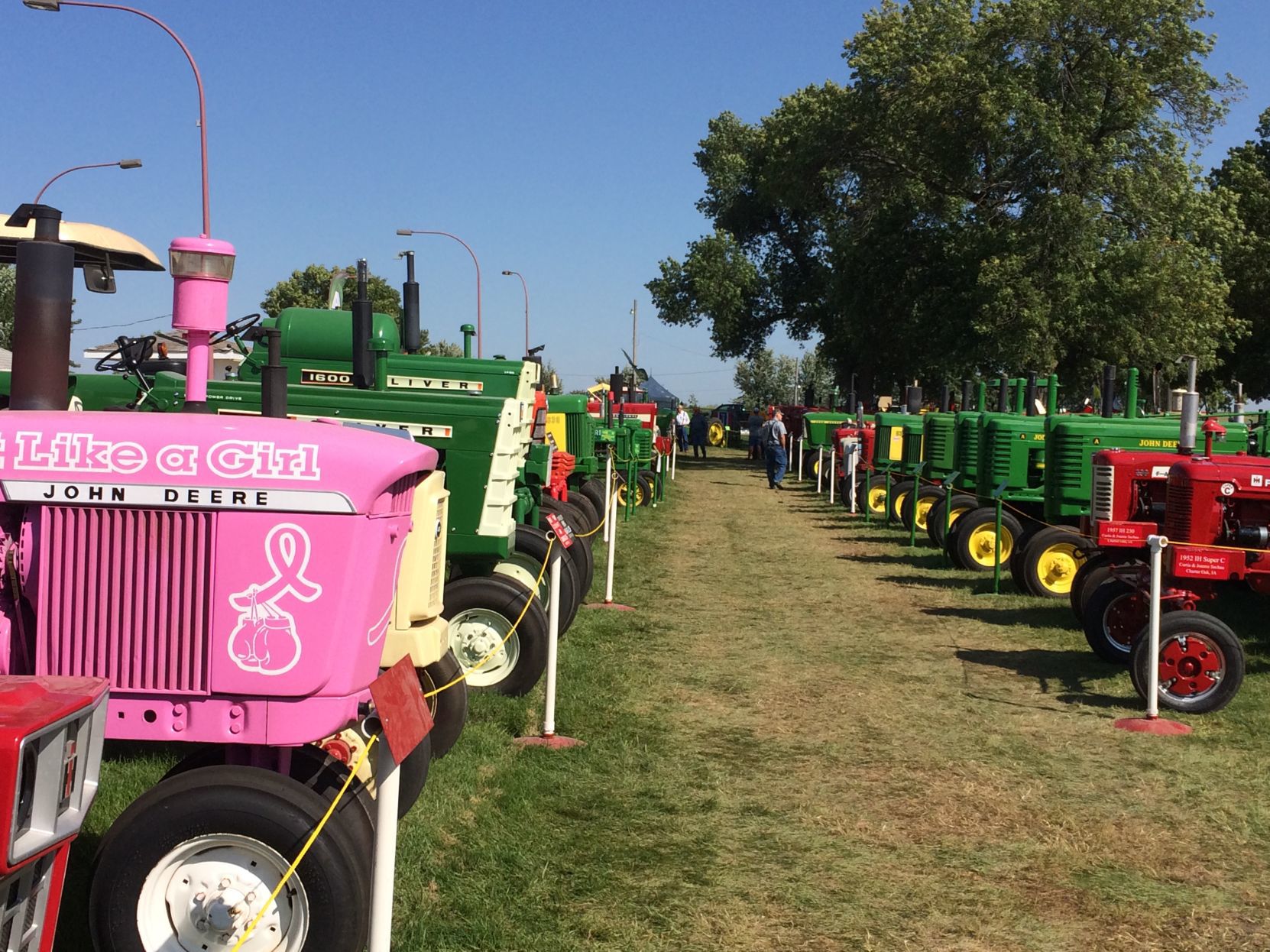 pinktractor4